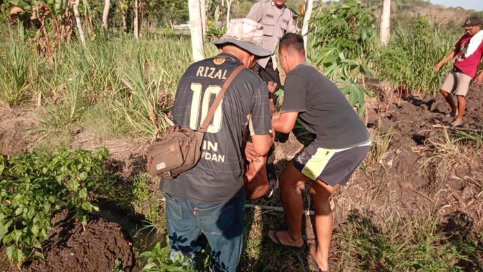 Korban sengatan tawon saat mendapat pertolongan dari warga di Bantul.