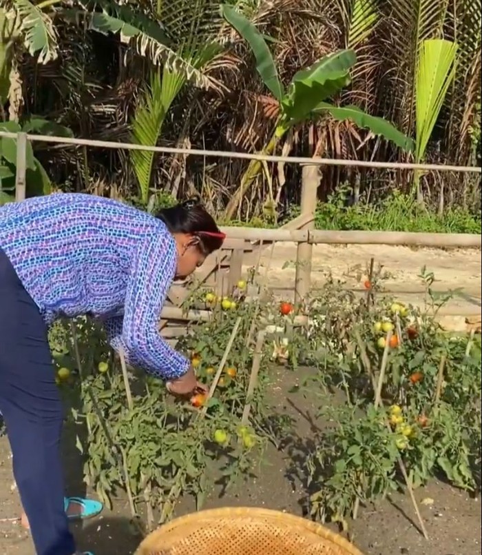 susi pudjiastuti susi pudjiastuti