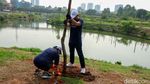 Tanam Pohon Digencarkan Demi Tekan Polusi Jakarta