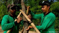 Petugas Suku Dinas Pertamanan Jakarta Selatan ikut membantu menanam pohon. 