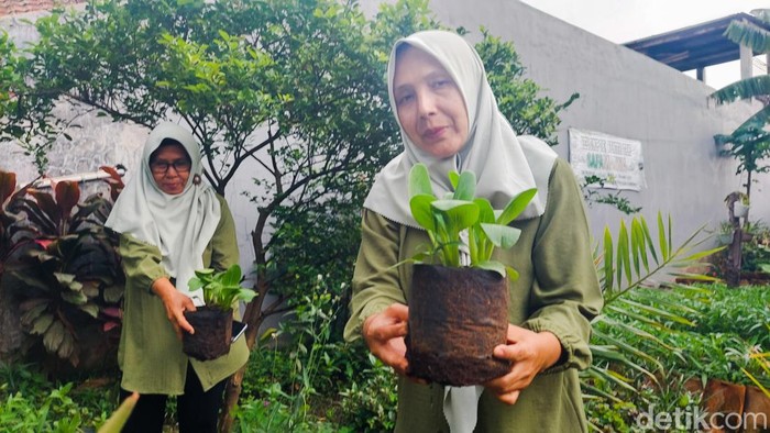 Warga Cigugur Tengah Cimahi menunjukkan tanaman pakcoy di polybag