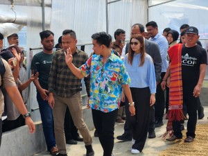 Gibran Datangi Kebun Kopi di Sumut Bareng Bobby, Dicurhati soal Pupuk-Bibit