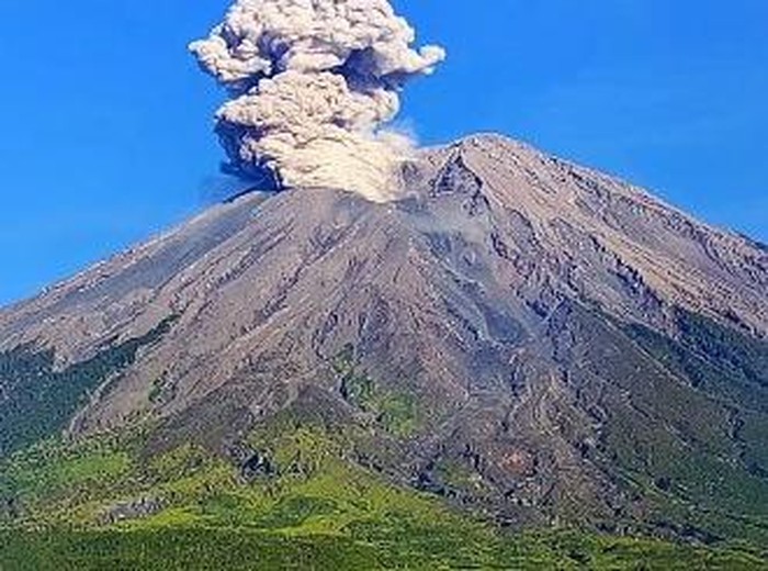 Gunung Semeru di Lumajang kembali erupsi. Tinggi kolom letusan teramati mencapai 1.000 meter di atas puncak.