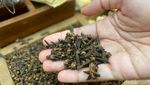 Slurrp! Menyeruput Kopi Hitam hingga Teh Racikan Jeng Yah