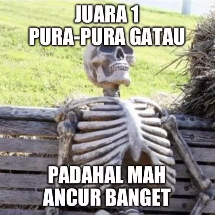 Meme Juara 1, Sefruit Prestasi yang Bikin Terenyuh Di antara gelar juara satu berikut, kira-kira mana yang paling cocok buat kamu?