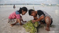 Spot di kisaran Pulau Liukang Loe, yakni sebuah pulau kecil yang terletak di seberang barat Tanjung Bira merupakan salah satu spot terbaik. 