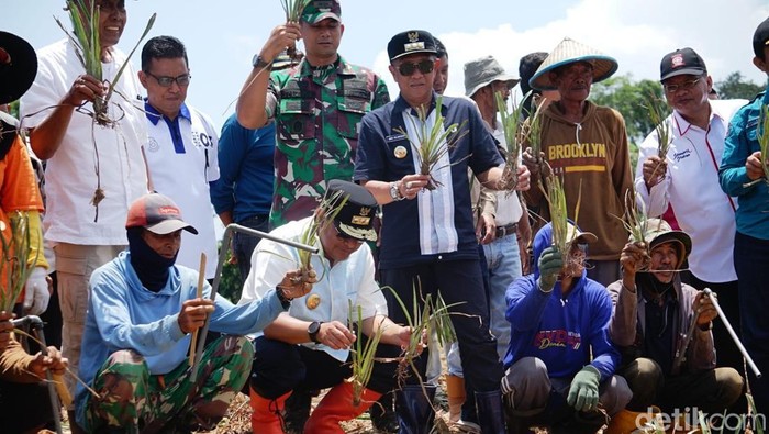 Pj Bupati Bone Andi Islamuddin bersama Pj Gubernur Sulsel Bahtiar Baharuddin meninjau lokasi pembibitan pisang.