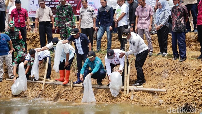 Pj Gubernur Sulsel Bahtiar Baharuddin melepas 50.000 bibit ikan nila di Desa Tellongeng, Kecamatan Mare, Kabupaten Bone.