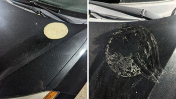 Selembar tortilla yang ditaruh di atas kap mobil sampai terpanggang karena cuaca panas yang ekstrem. Foto: Bored Panda