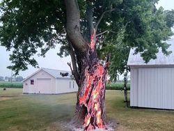 Potret Bencana Alam yang Makin Ganas Karena Perubahan Iklim