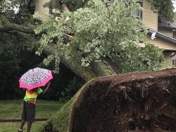 Potret Bencana Alam yang Makin Ganas Karena Perubahan Iklim