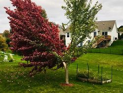 Potret Bencana Alam yang Makin Ganas Karena Perubahan Iklim