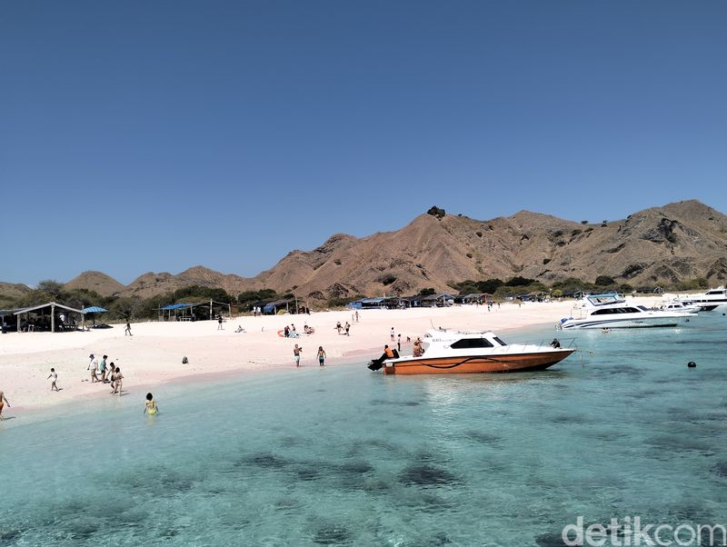 Long Pink Beach salah satu spot diving dan snorkeling di Taman Nasional Komodo