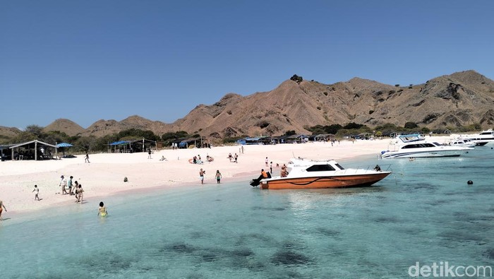 Long Pink Beach salah satu spot diving dan snorkeling di Taman Nasional Komodo