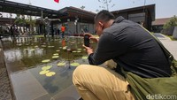 Koridor terbuka dan taman asri yang menghubungkan seluruh store di didesain DP Architect berkolaborasi dengan studio lokal, Seniman Ruang.  