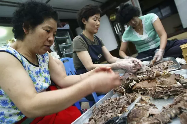 Korea Selatan Akan Larang Konsumsi Daging Anjing di Tahun 2027