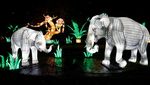 Melihat Binatang Hutan dalam Bentuk Lentera di Festival Cahaya Paris