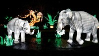 Dikerjakan bersama dengan para ilmuwan dari Museum Sejarah Alam, patung-patung ini merupakan kreasi asli yang diterangi dengan bohlam LED hemat energi. 