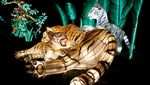 Melihat Binatang Hutan dalam Bentuk Lentera di Festival Cahaya Paris
