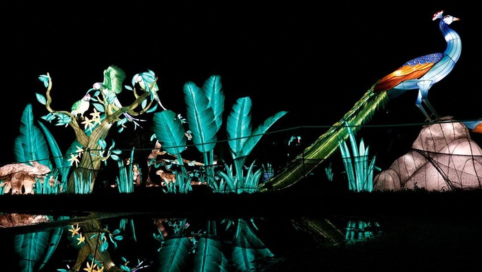 Melihat Binatang Hutan dalam Bentuk Lentera di Festival Cahaya Paris Brightly coloured plant-shaped figures are displayed at the