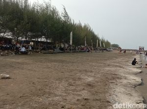 Pesona Laut dan Pohon Cemara yang di Balongan Indramayu