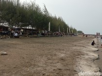 Pesona Laut dan Pohon Cemara yang di Balongan Indramayu