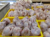 Ayam Broiler Banting Harga di Transmart Full Day Sale, Jadi Murah Banget!
