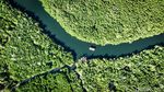 Desa Palaes Punya Wisata Unggulan Mangrove, Nih Lihat