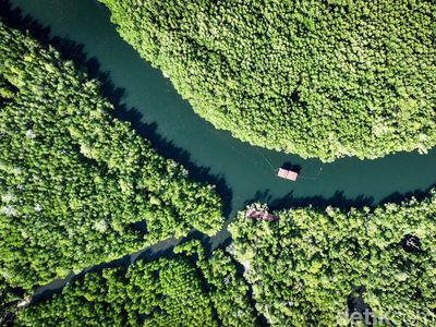 Desa Palaes Punya Wisata Unggulan Mangrove, Nih Lihat