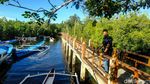 Desa Palaes Punya Wisata Unggulan Mangrove, Nih Lihat