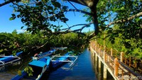 Waktu terbaik mengunjungi wisata mangrove Palaes pada saat pagi atau sore menjelang matahari terbenam. 