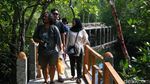 Desa Palaes Punya Wisata Unggulan Mangrove, Nih Lihat