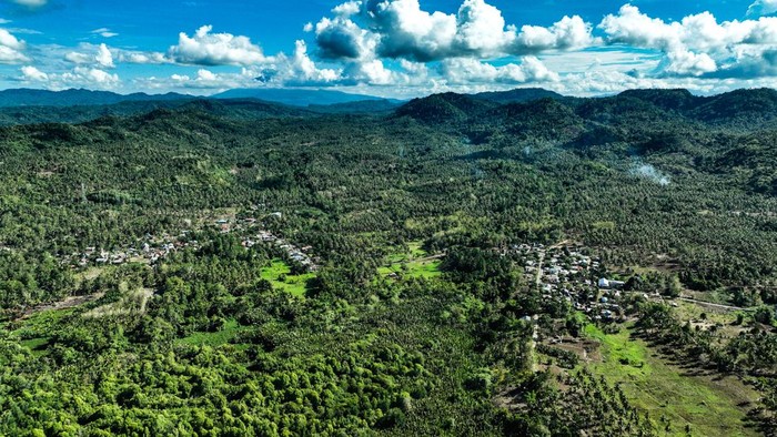 Desa Wisata Palaes