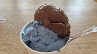 Kami mencoba menu gelatonya yang bisa dikreasikan dengan menggabungkan dua rasa. Cookie Monster dan Dark Chocolate memiliki perpaduan yang manis dan pahit dengan seimbang. Foto: detikcom