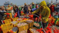 Pekerja membasahi ikan sebelum dipindah menuju tempat pelelangan ikan di Palang, Tuban, Jawa Timur, Minggu (19/11/2023). 