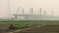 Seorang wanita bekerja di sebuah ladang dekat lokasi pembangunan jembatan di New Delhi, di tengah pekatnya kabut asap.