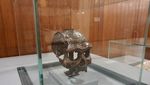 Potret Karya Seni Jalan Nusantara di Markas Besar UNESCO