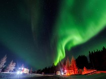 Norwegia Lagi Viral Efek Erling Haaland cs, Ini 6 Fakta Menarik Negaranya