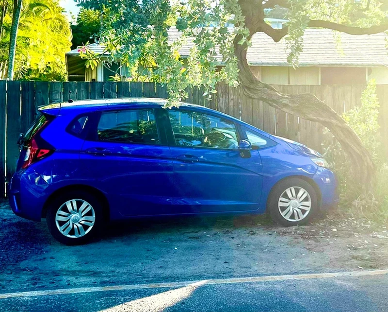 Kumpulan Potret Kebetulan Dengan Timing yang Tepat