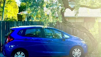 Wow, seolah si pohon sengaja memberikan ruang untuk mobil parkir. Foto: Brightside