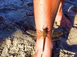 Deretan Potret Kebetulan Dengan Timing yang Tepat