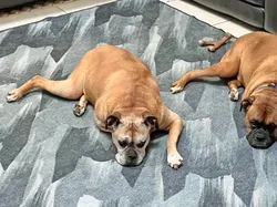 Deretan Potret Kebetulan Dengan Timing yang Tepat