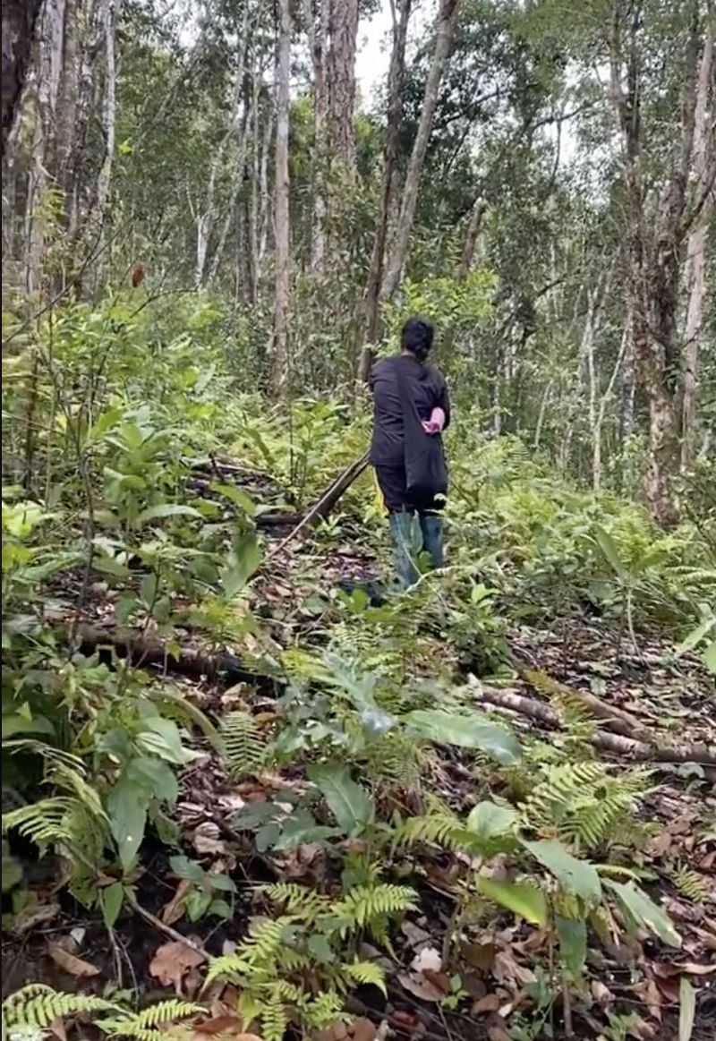 Makan Nasi Lauk Laba-Laba Goreng, TikToker Ini Bilang Rasanya Enak!