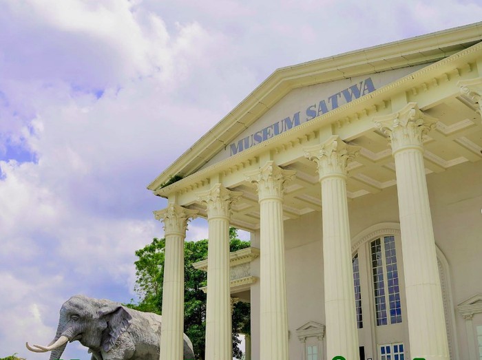 Museum Satwa Jatim Park 2 merupakan museum berstandar internasional yang menyajikan koleksi fosil dan replika satwa dari seluruh dunia, yang telah melalui proses pengawetan. Sehingga para pengunjung dapat mengamatinya lebih dekat.