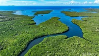 Desa Palaes memiliki wisata mangrove sebagai andalannya.  