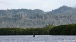 Potret Desa Palaes, Sukses Kembangkan Wisata dalam 3 Tahun