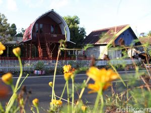 Potret Desa Palaes, Sukses Kembangkan Wisata dalam 3 Tahun
