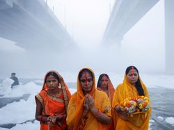 Potret Busa Beracun di Sungai Yamuna India