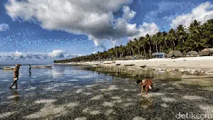 Tradisi Unik Tnyafar di Pulau Selaru