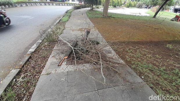 Trotoar dan jalur pedestrian di Taman Pesona Pangandaran.